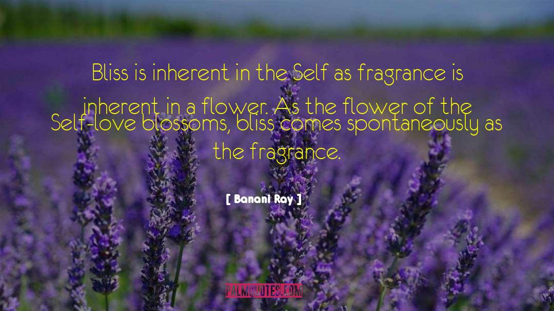 Outward Beauty quotes by Banani Ray