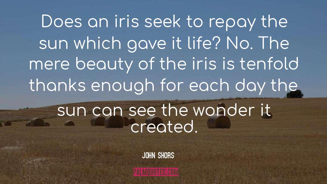 Outward Beauty quotes by John Shors