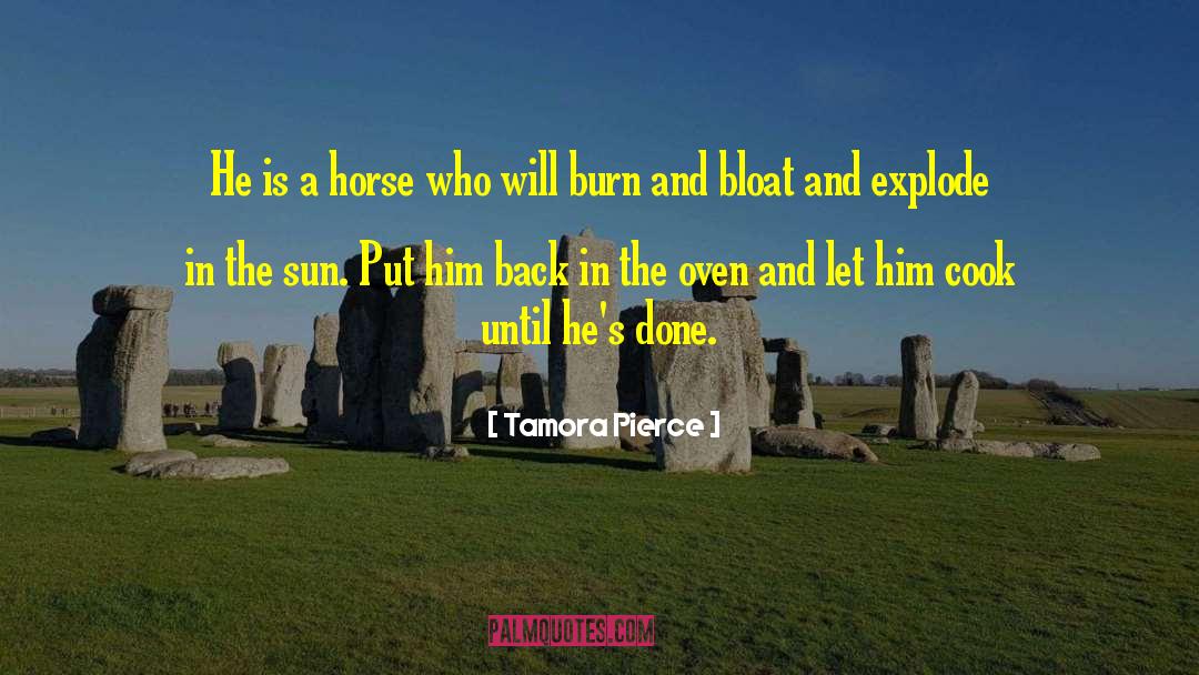 Oven Overheats quotes by Tamora Pierce