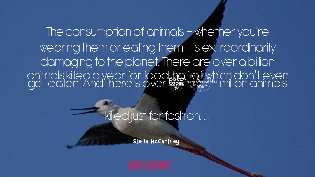 Over 50 quotes by Stella McCartney