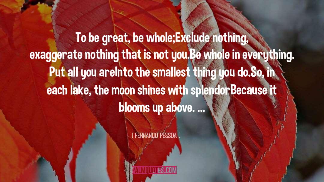 Over Exaggerate quotes by Fernando Pessoa