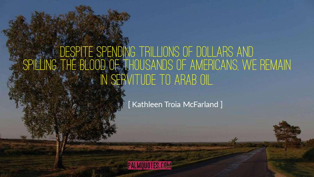 Over Spending quotes by Kathleen Troia McFarland