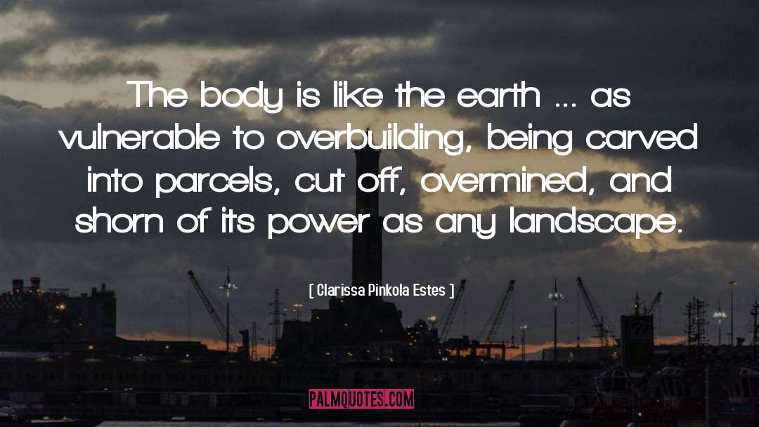 Overbuilding Fortnite quotes by Clarissa Pinkola Estes