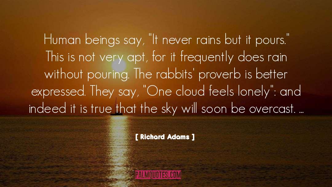 Overcast quotes by Richard Adams