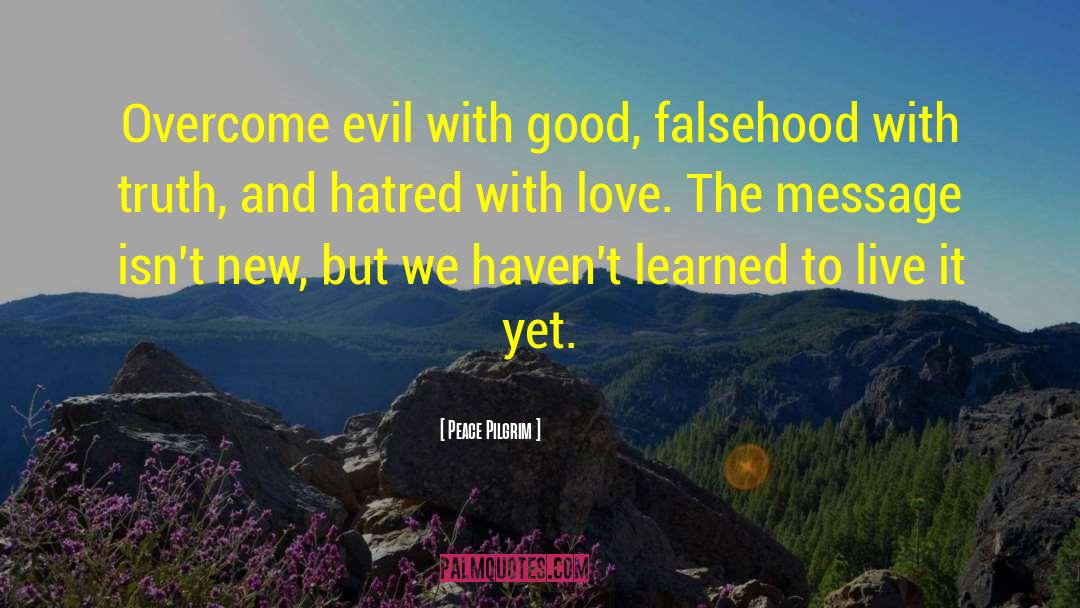 Overcome Evil With Good quotes by Peace Pilgrim