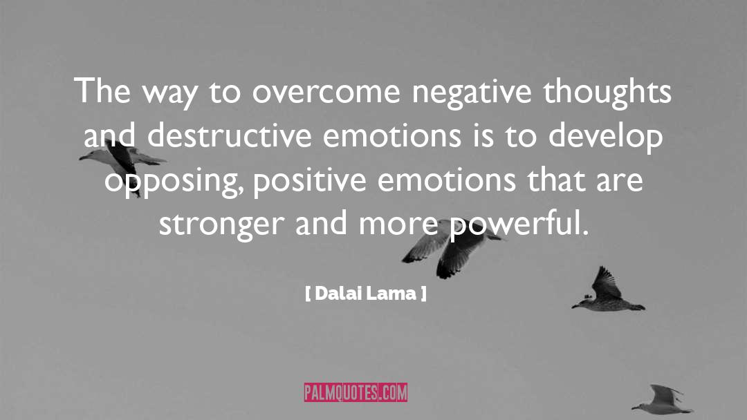 Overcome The Evils quotes by Dalai Lama