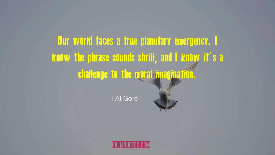 Overcoming Challenges quotes by Al Gore