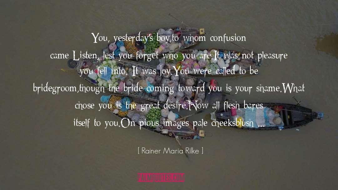 Overcoming Confusion quotes by Rainer Maria Rilke