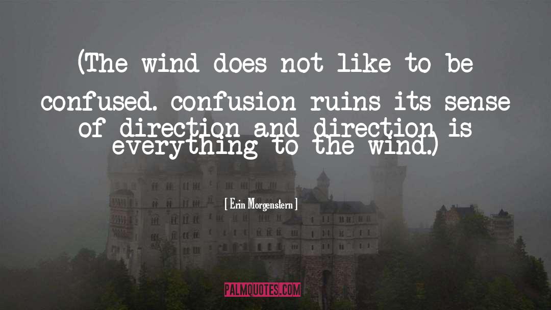 Overcoming Confusion quotes by Erin Morgenstern