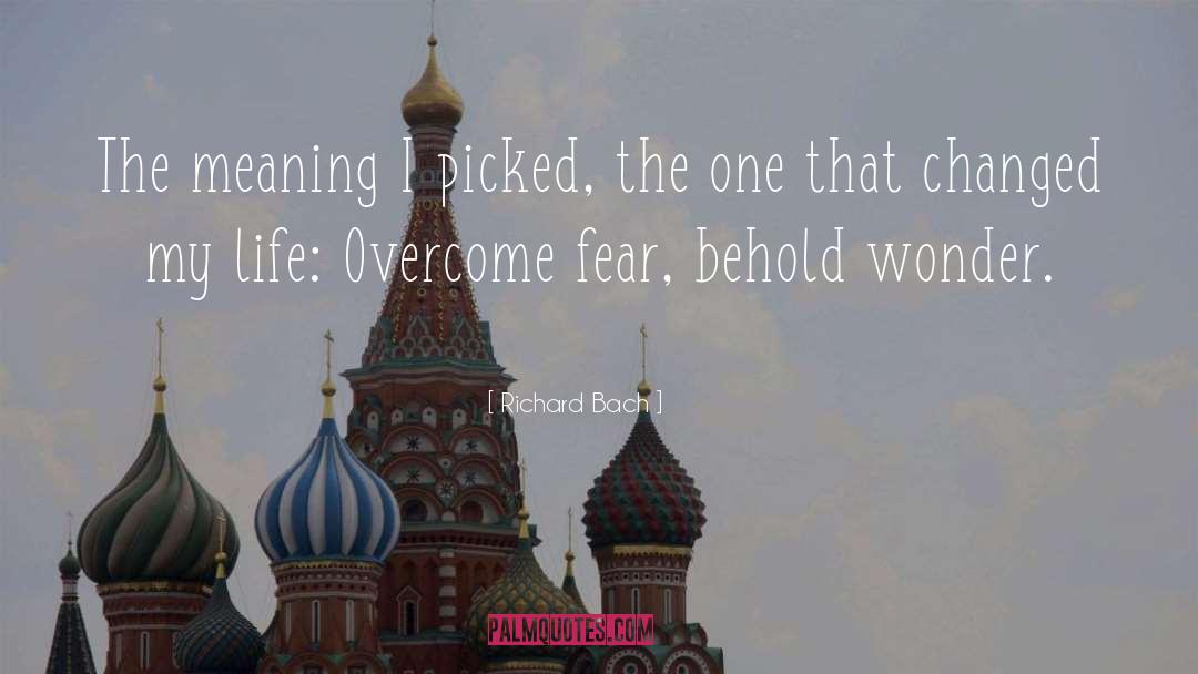 Overcoming Fear quotes by Richard Bach