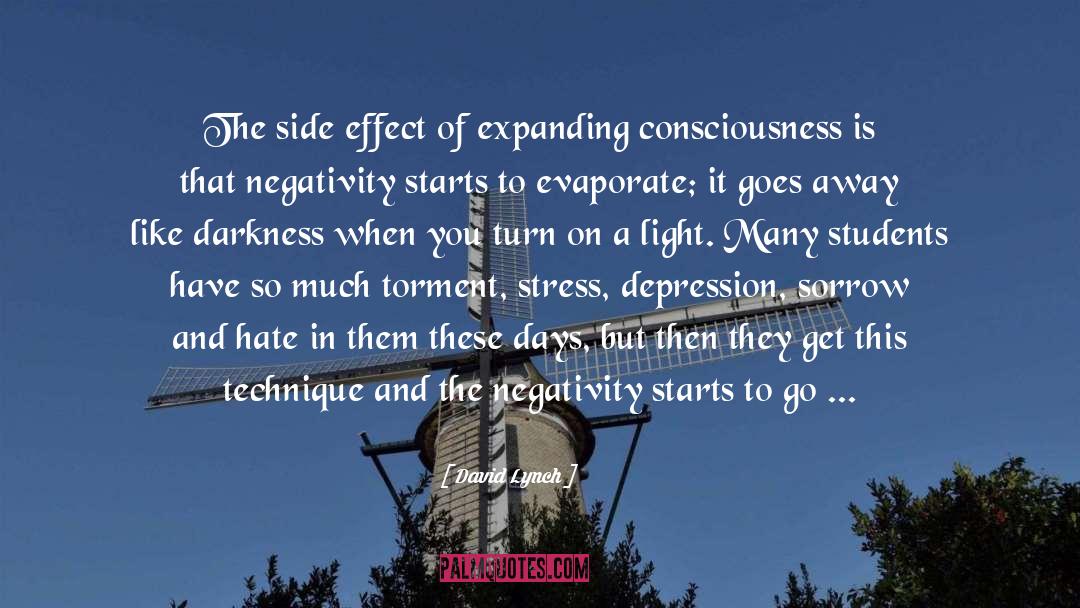 Overcoming Negativity quotes by David Lynch