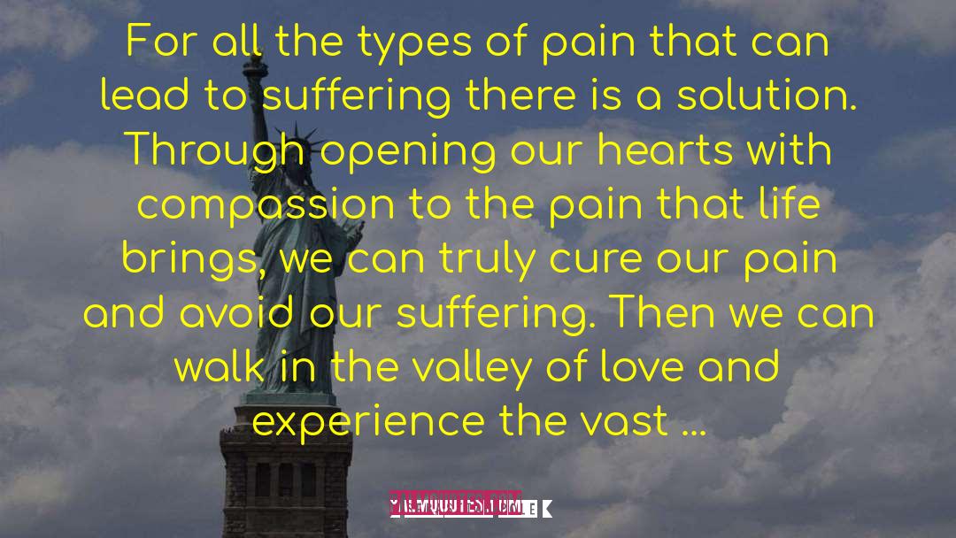 Overcoming Pain quotes by Sebastian Pole