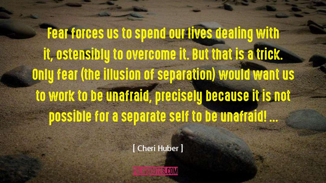 Overcoming Roadblocks quotes by Cheri Huber