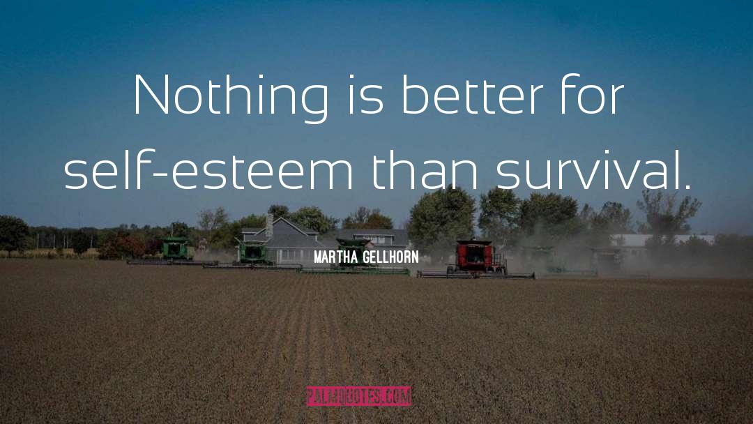 Overcoming Shortcomings quotes by Martha Gellhorn