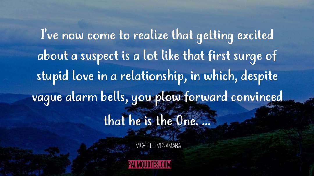 Overcoming Struggles In A Relationship quotes by Michelle McNamara