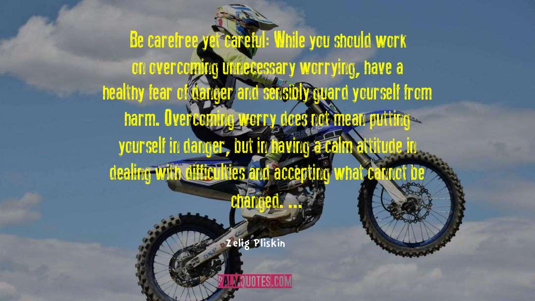 Overcoming Worry quotes by Zelig Pliskin