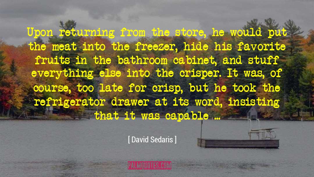 Overcooked quotes by David Sedaris