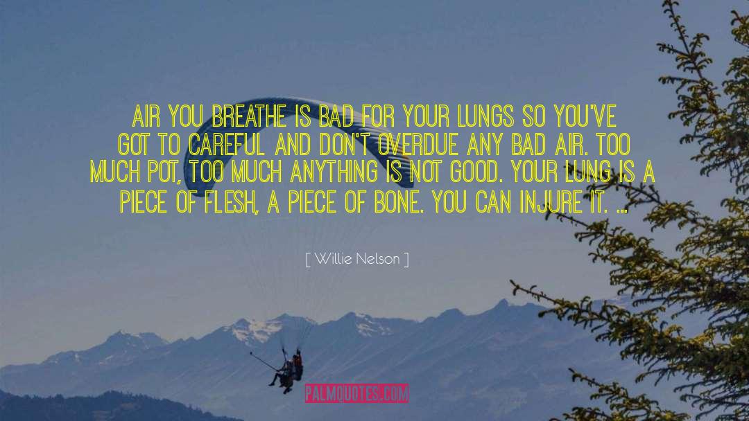 Overdue quotes by Willie Nelson