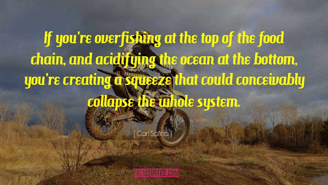 Overfishing quotes by Carl Safina