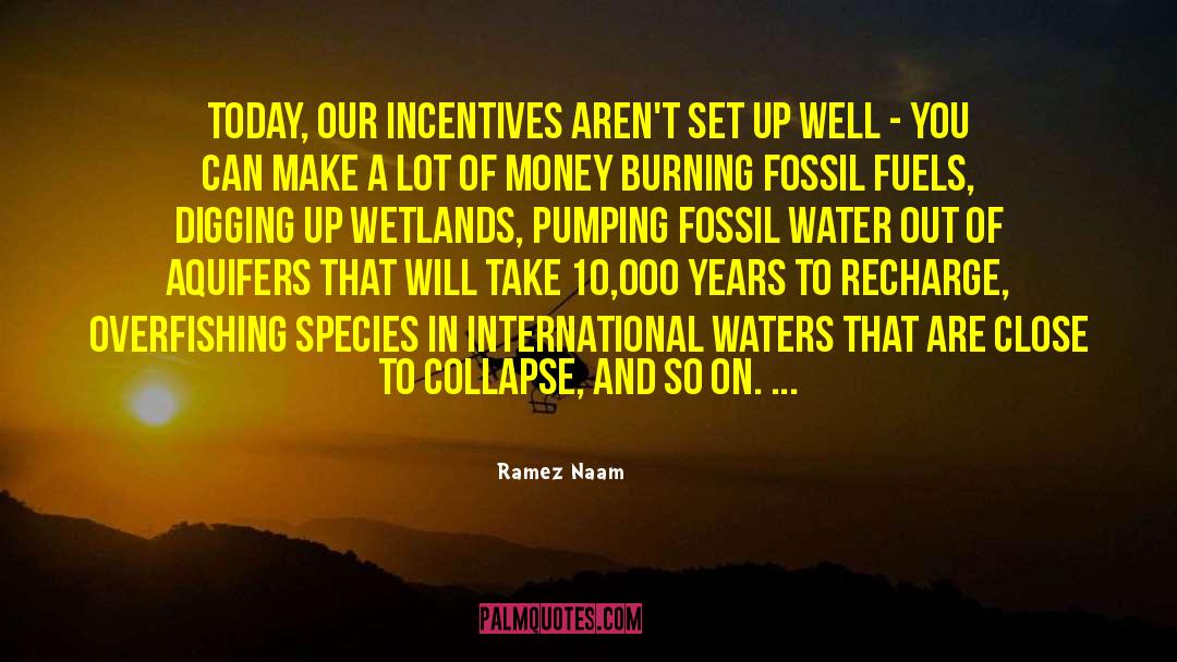 Overfishing quotes by Ramez Naam