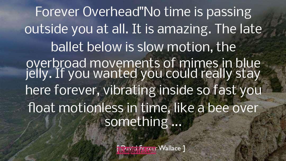 Overhead quotes by David Foster Wallace