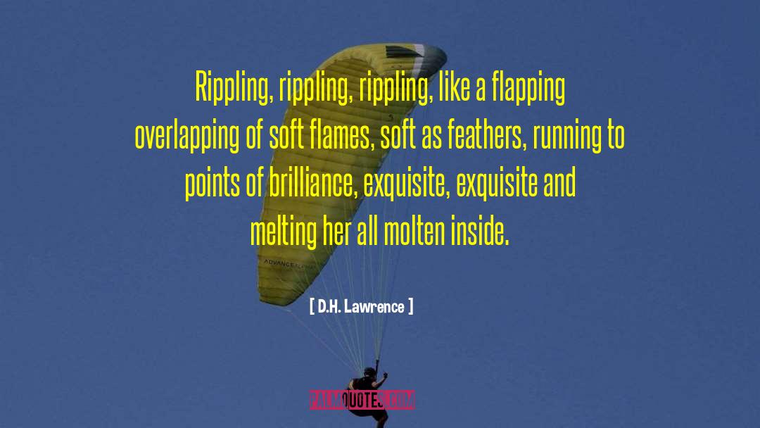 Overlapping quotes by D.H. Lawrence