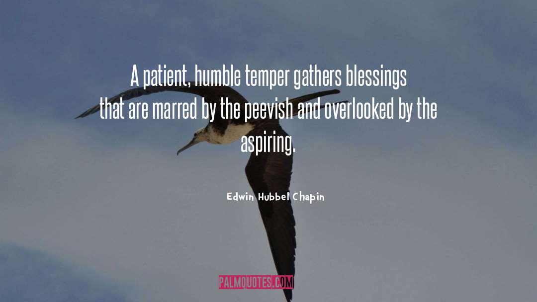 Overlooked quotes by Edwin Hubbel Chapin