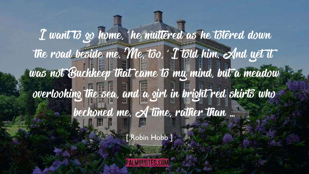 Overlooking quotes by Robin Hobb