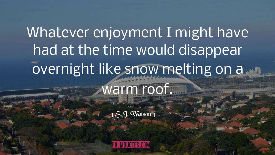 Overnight quotes by S.J. Watson