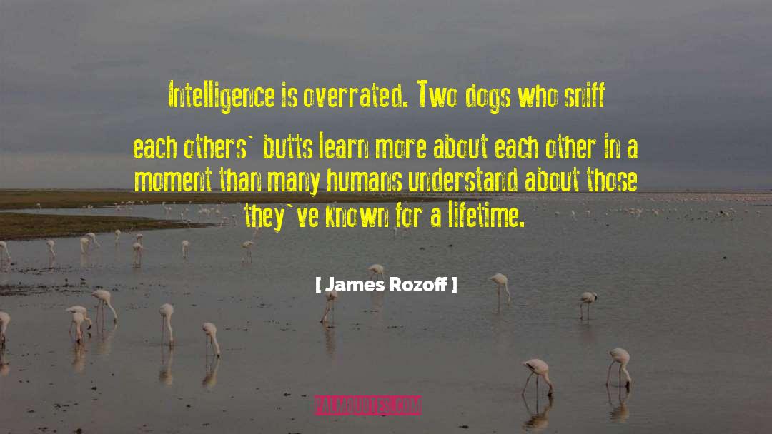 Overrated quotes by James Rozoff