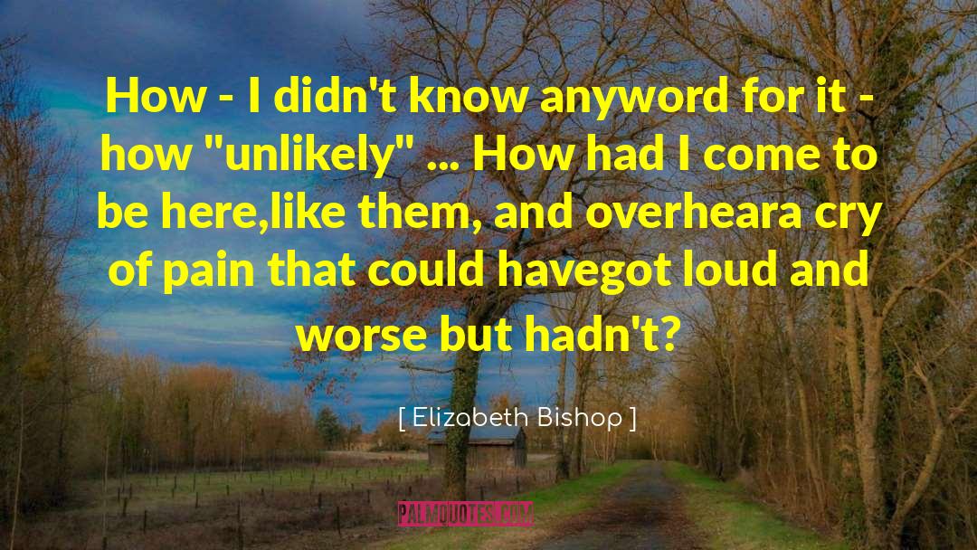 Oversensitivity To Pain quotes by Elizabeth Bishop