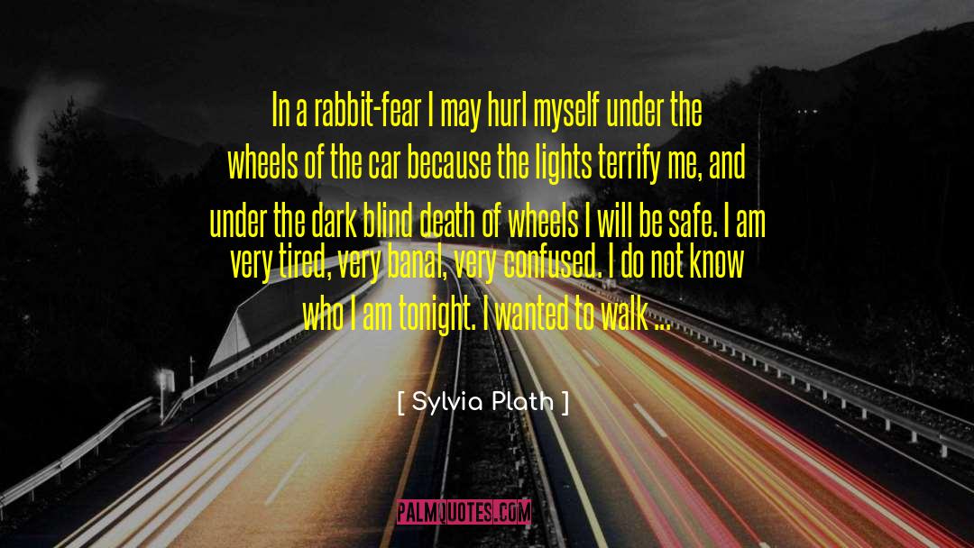 Oversteer Wheels quotes by Sylvia Plath