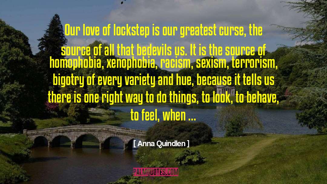 Overt Racism quotes by Anna Quindlen