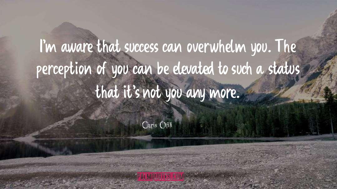 Overwhelm quotes by Chris Ofili