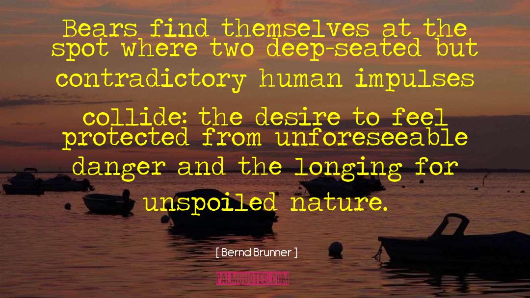 Overwhelming Desire quotes by Bernd Brunner