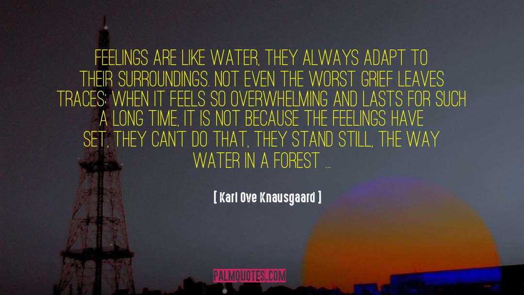 Overwhelming Feelings quotes by Karl Ove Knausgaard