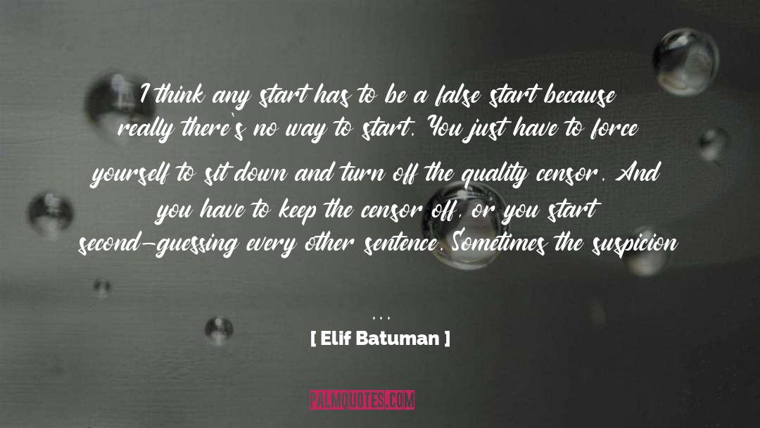 Overwhelming Force quotes by Elif Batuman