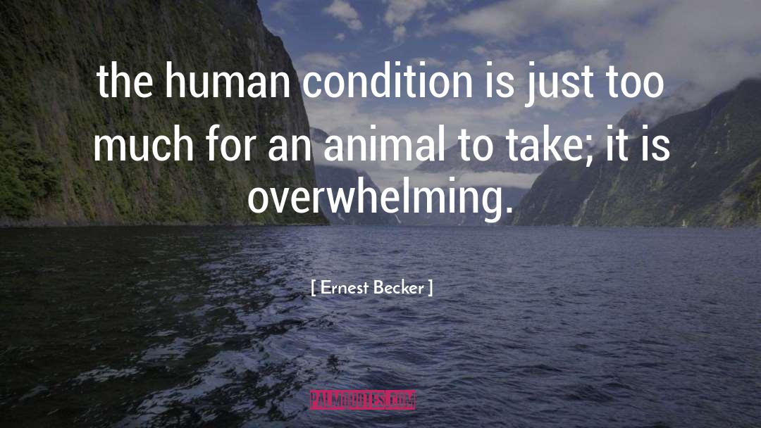 Overwhelming quotes by Ernest Becker