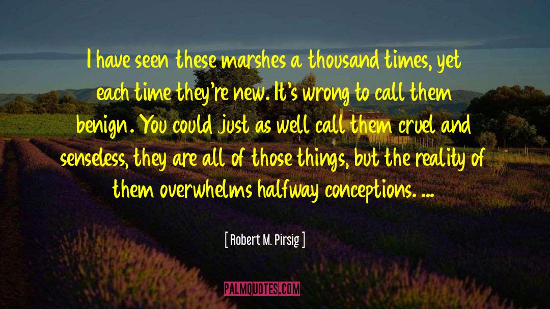 Overwhelms quotes by Robert M. Pirsig
