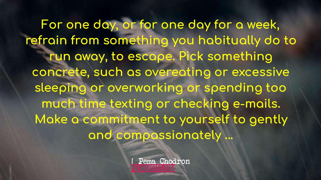 Overworking quotes by Pema Chodron