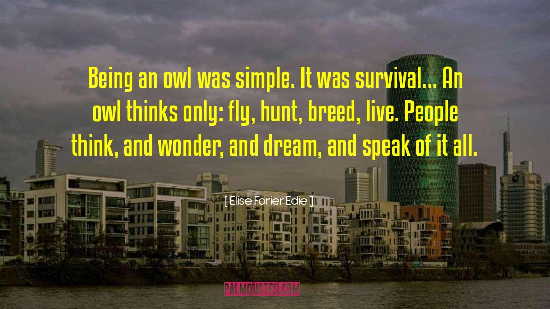 Owl quotes by Elise Forier Edie