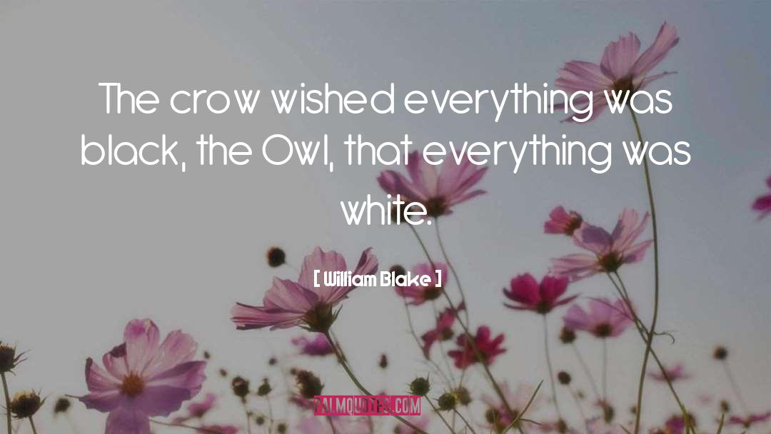 Owl quotes by William Blake