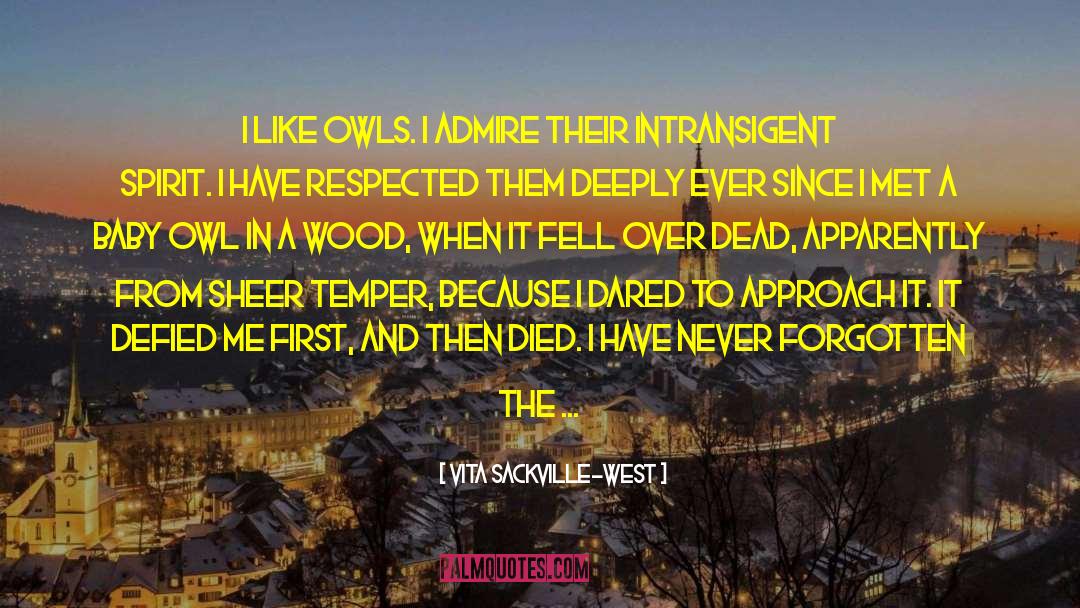 Owl quotes by Vita Sackville-West