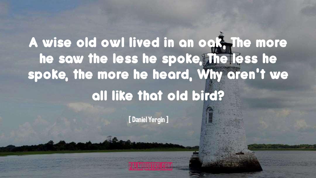 Owl quotes by Daniel Yergin