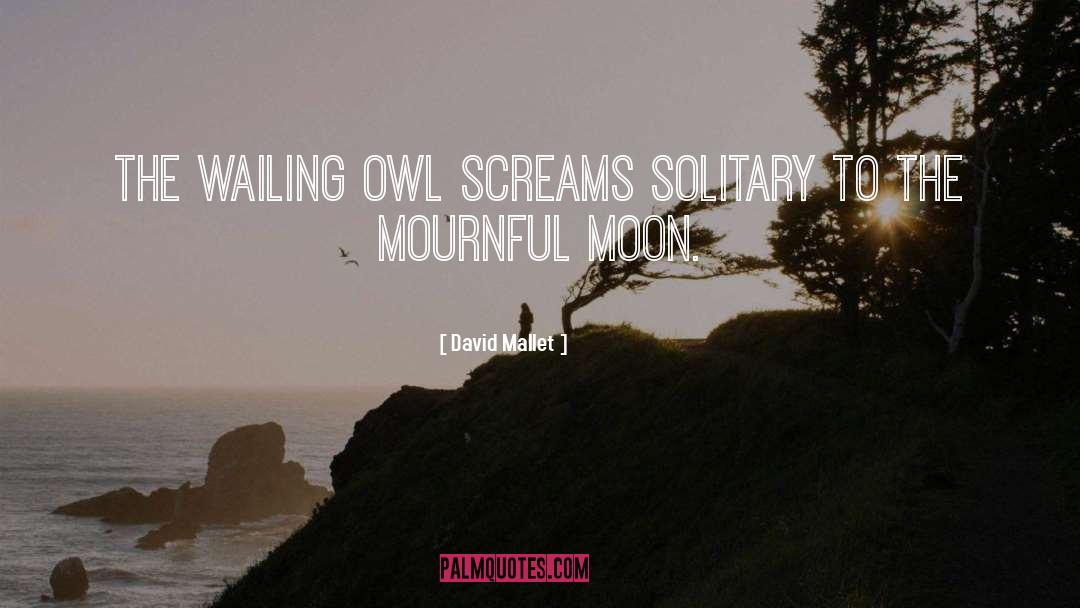 Owl Quotes quotes by David Mallet