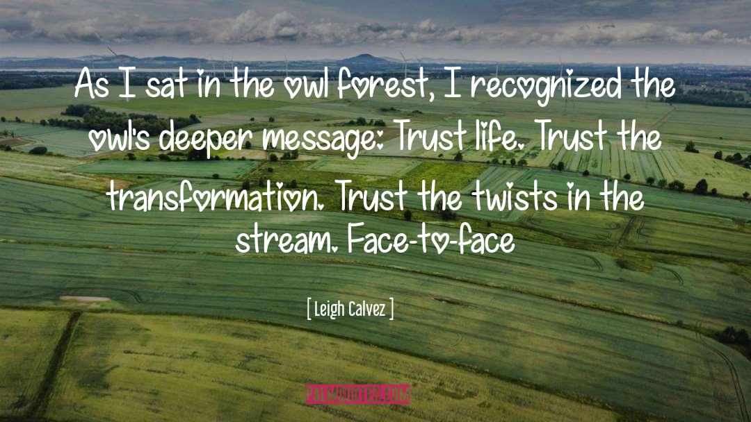 Owls quotes by Leigh Calvez