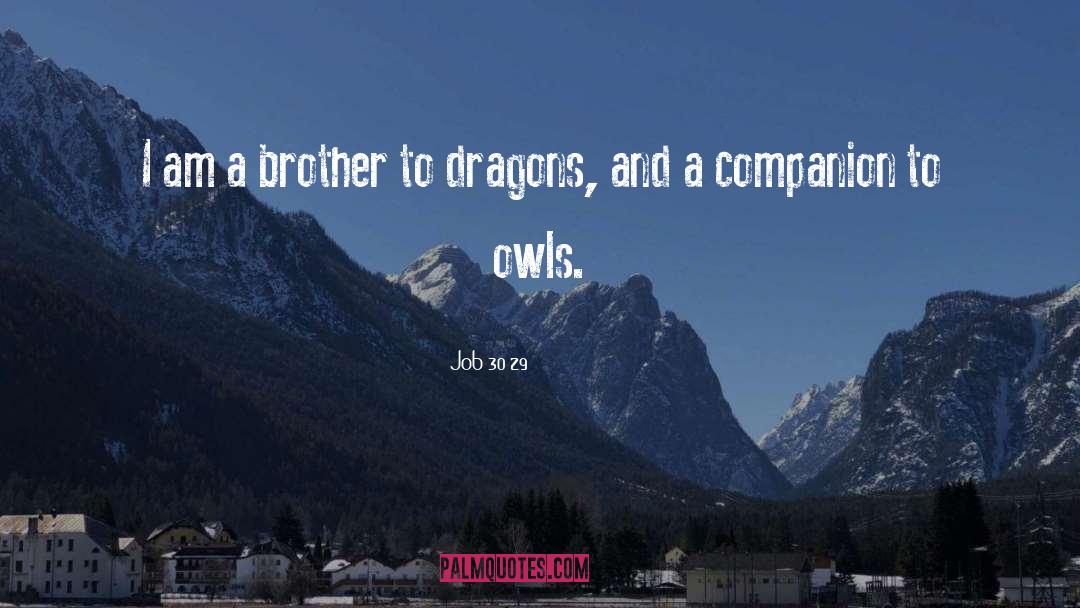 Owls quotes by Job 30 29