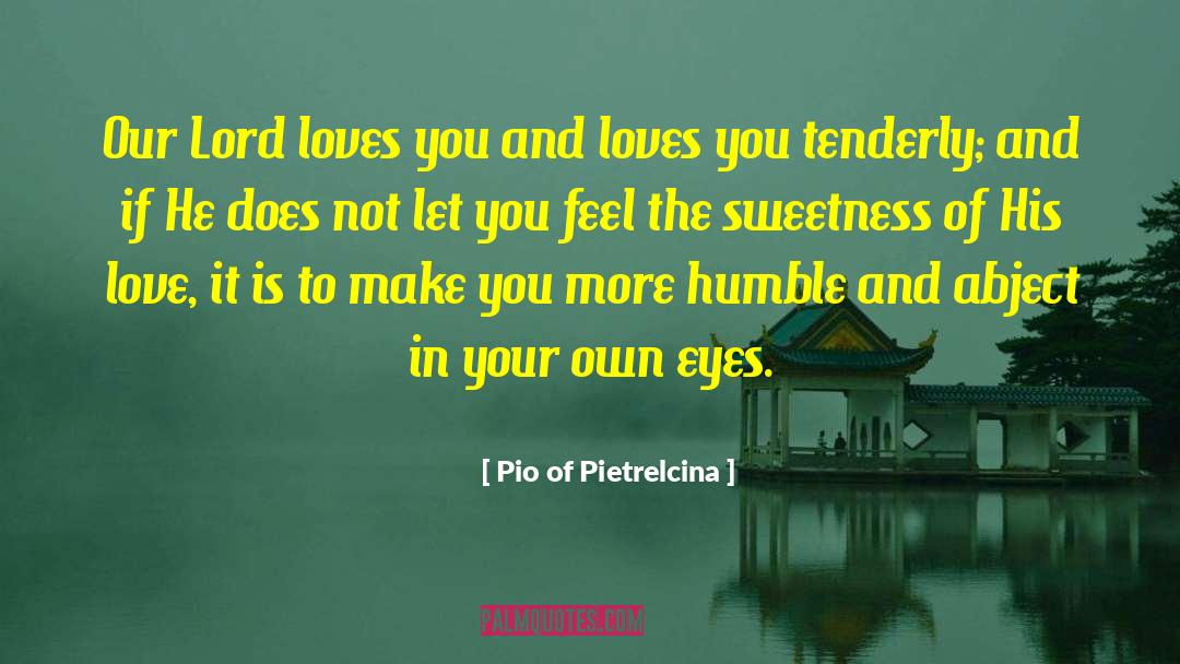 Own Eyes quotes by Pio Of Pietrelcina