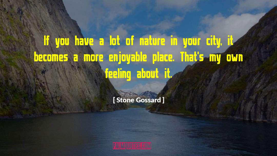 Own Feeling quotes by Stone Gossard