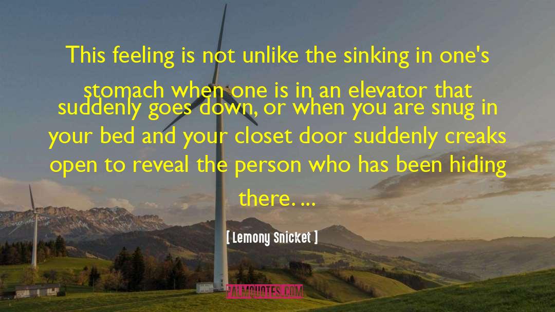 Own Feeling quotes by Lemony Snicket